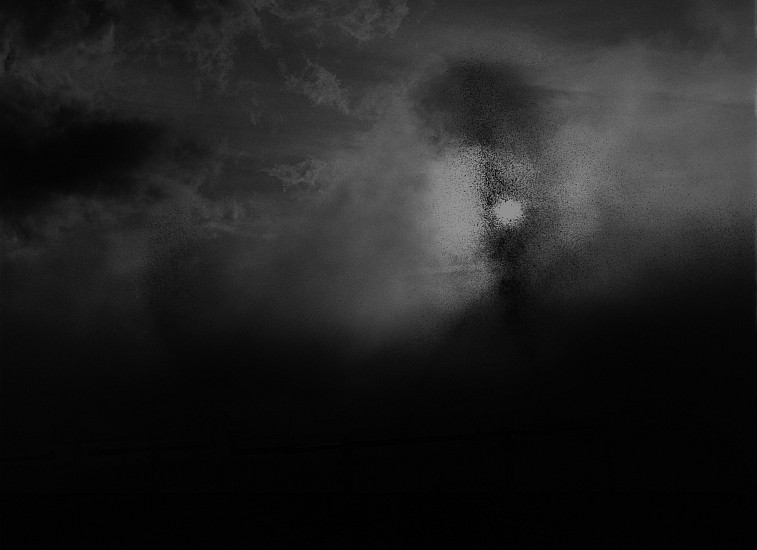 Debbie Fleming Caffery, Sugar Mill Cooling Pond, 2003
Gelatin silver print, 17 x 22 in. (43.2 x 55.9 cm)
Edition of 10
2683
$4,500