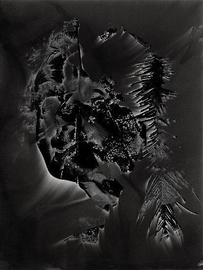 Roger Catherineau, Photogramme, 1957
Vintage gelatin silver print, 15 11/16 x 11 7/8 in. (39.9 x 30.2 cm)
CBL 276 in pencil and artist's stamp verso.
Variant illustrated: Bouqueret, Christian. Roger Catherineau: L'image improbable. Ã‰ditions MusÃ©e de la Ville de Rennes, 1992, p. 48.
2839
Sold