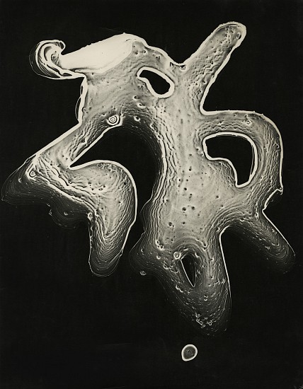 Herbert Matter, Untitled, c. 1939-43
Vintage gelatin silver print, 10 1/2 x 13 7/16 in. (26.7 x 34.1 cm)
Most likely clichÃ© verre photogram process.Studio Associates Stamp in ink on print verso.
6790
$5,000