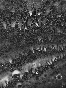 Work: Apocalypse, Révélation