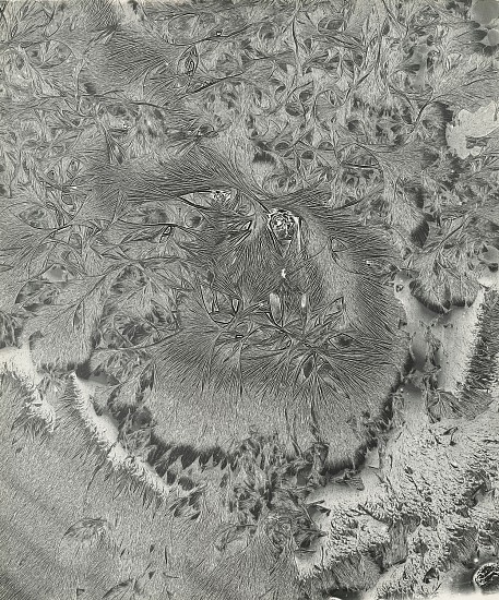 Jean-Pierre Sudre, Soleil, c. 1965-67
Vintage gelatin silver print, 23 1/2 x 19 5/8 in. (59.7 x 49.9 cm)
7904
$10,000