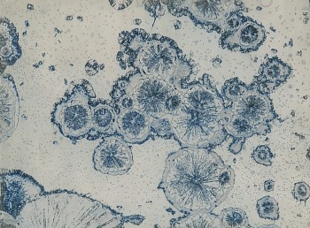 Work: Matériographie