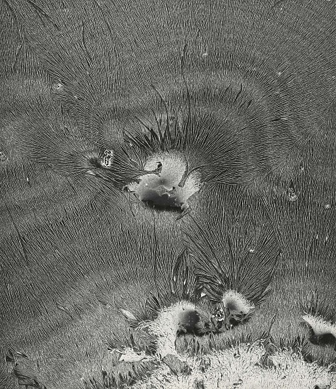 Jean-Pierre Sudre, Anemonès, 1966
Vintage gelatin silver print, 23 1/2 x 19 5/8 in. (59.7 x 49.9 cm)
7899
$8,500