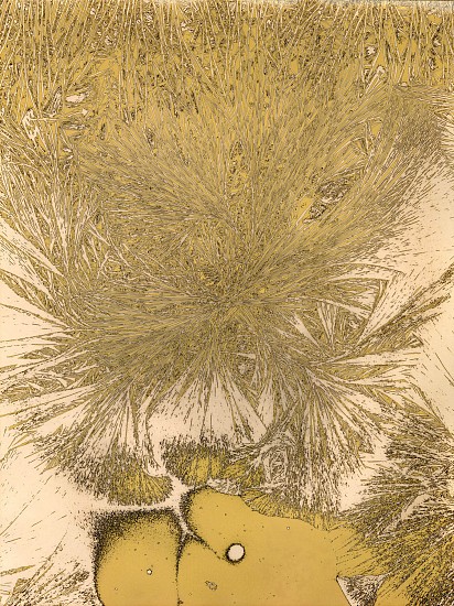 Jean-Pierre Sudre, Matériographie, 1970
Vintage toned gelatin silver print; Mordançage, 15 5/8 x 11 3/4 in. (39.7 x 29.8 cm)
7884
$7,000