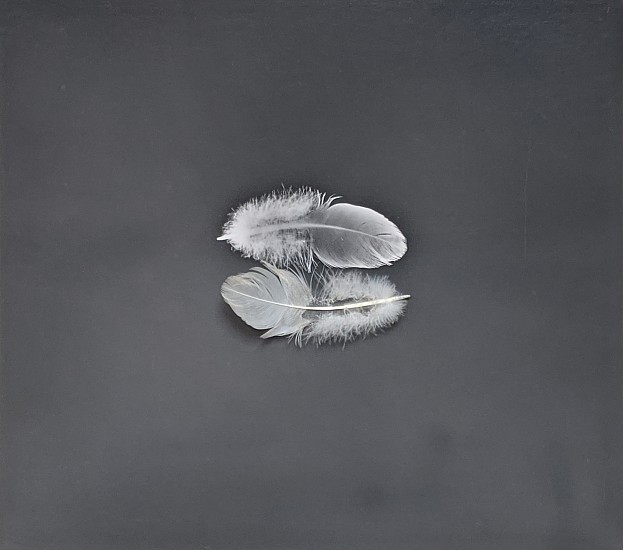 Kenneth Josephson, Feather, 1968
Vintage gelatin silver print collage with feather, 3 3/8 x 4 in. (8.6 x 10.2 cm)
(a feather with the photogram of it)
7200
Sold