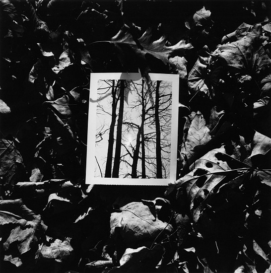 Kenneth Josephson, Illinois, 1971
Vintage gelatin silver print, 7 x 7 in. (17.8 x 17.8 cm)
5055
$6,000