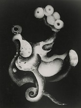 Past Exhibitions: An Octopus's Garden May 22 - Jun 30, 2020