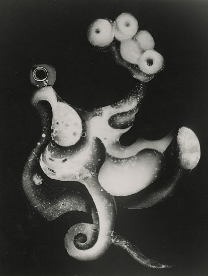 Heinz Hajek-Halke, Untitled, 1953
Vintage gelatin silver print, 14 7/8 x 11 1/4 in. (37.8 x 28.6 cm)
(octopus)
8070
$9,000