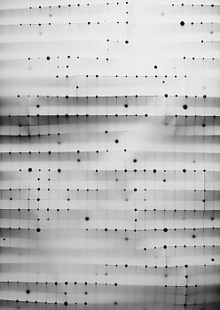 Christiane Feser - Felder 1