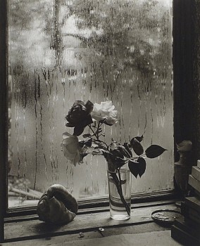 Work:&nbsp;The Last Rose of Summer, from The Window of My Studio