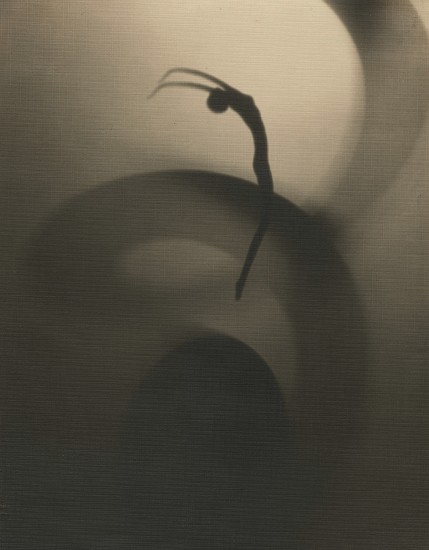 František Drtikol, Composition, 1931
Vintage gelatin silver print, 10 15/16 x 8 9/16 in. (27.8 x 21.8 cm)
8422
$35,000