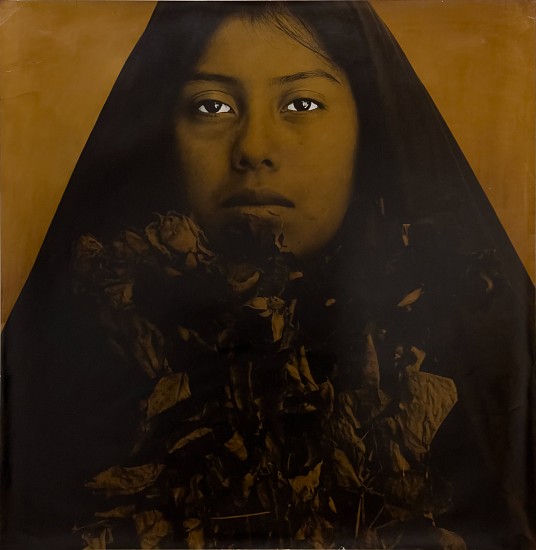 Luis González Palma, La Esperanza [Hope], c. 1990
Vintage gelatin silver print with bitumen, 36 x 36 in. (91.4 x 91.4 cm)
8610
Sold