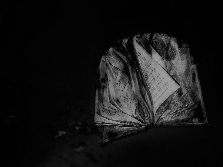 Debbie Fleming Caffery, God Be With You, 2005
Gelatin silver print, 17 3/8 x 22 3/8 in. (44.1 x 56.8 cm)
Edition of 10
2679
$4,500