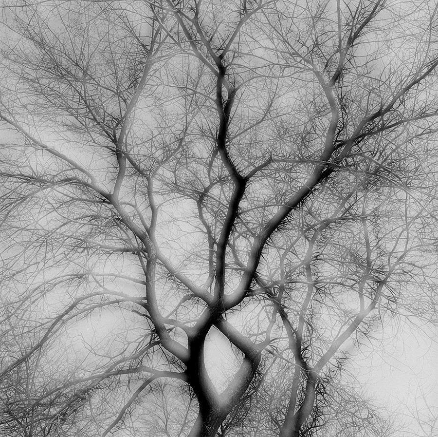 Vibrations of Nature    In-camera Multiple Exposures    Harry Callahan, Kenneth Josephson, and Ralph Eugene Meatyard September 9 â€“ November 1,   
  
