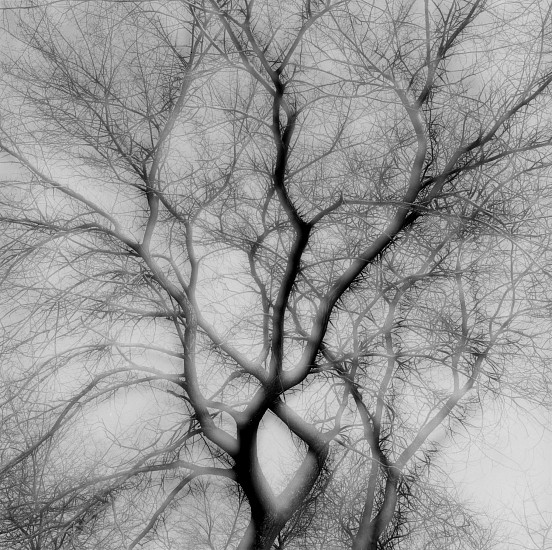 Kenneth Josephson, Chicago, 1959
Vintage gelatin silver print, 7 1/16 x 7 1/16 in. (17.9 x 17.9 cm)
Signed, titled, dated and annotated "59-2-1-3" in pencil on print verso.
Illustrated: Kenneth Josephson: A Retrospective. Chicago: The Art Institute of Chicago, 1999, p. 69, pl. 10. Kenneth Josephson: The First Fifty Years. Chicago: Stephen Daiter Gallery, 2008, p. 23 (variant). Kenneth Josephson: Selected Photographs. Berlin: Only Photography, 2013, p. 42.Taken by Design: Photographs from the Institute of Design, 1937-1971. Chicago: The Art Institute of Chicago, 2002, p. 139, pl. 132. 
5032
$7,000