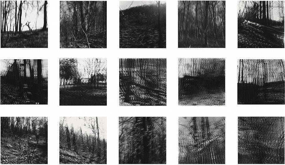 Ralph Eugene Meatyard, Common Open Spaces and Footpath Preservation Society, 1969
15 vintage gelatin silver prints
Image sizes range from 5 13/16 - 5 7/8 x 5 11/16 - 5 13/16 in. Printed with small white margins and trimmed to sizes range from 6 3/4 - 6 13/16 x 6 11/16 - 6 3/4 in. Mounted to 2 ply mat board 11 1/2 x 9 5/8. 
Each print titled and numbered sequentially in ink and stamped on print verso [first image has the full title and the rest have an abbreviation].
Image 11 illustrated: Gassan, Arnold and Wendell Berry. Ralph Eugene Meatyard. Gnomon Press, 1970, pl. 22.
8433
$30,000