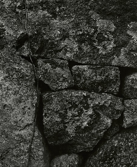 Aaron Siskind, Martha's Vineyard, 1954
Vintage gelatin silver print, 23 5/8 x 19 1/2 in. (60 x 49.5 cm)
Signed, titled "M.V." and dated with "top" and directional arrow in ink in right margin on print recto. Titled and dated in pencil on print verso.
3735
$12,000