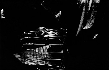 Kenneth Josephson -&nbsp;Honolulu