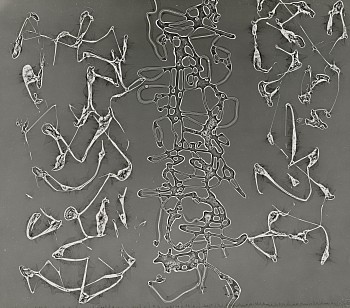 Herbert Matter -&nbsp;Untitled