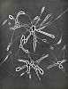 Herbert Matter, Untitled
c. 1939-43, Vintage gelatin silver print